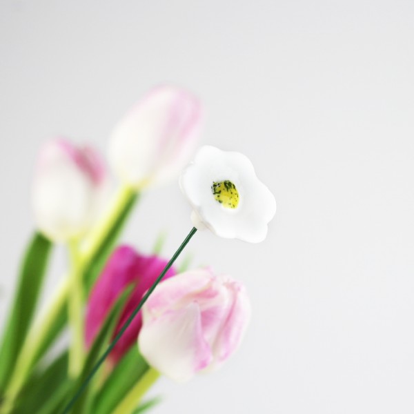 Blumenstecker Primel in einem Strauß Tulpen