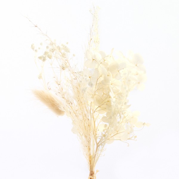 Trockenblumen Strauß klein in Weiß
