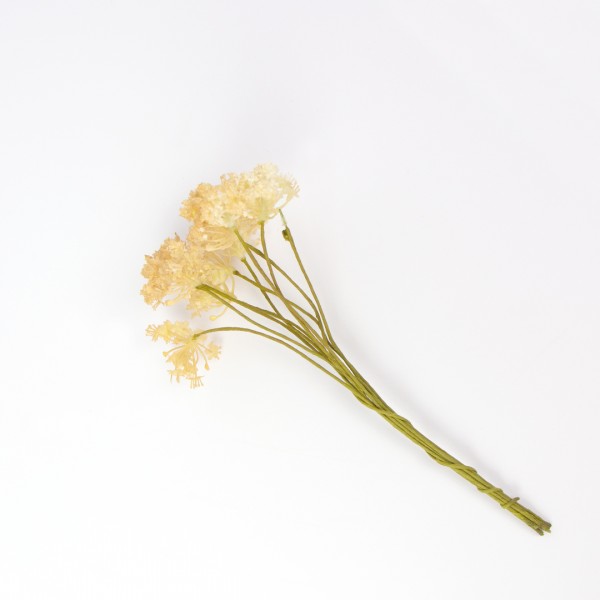 Trockenblumen | Blüten | Natur