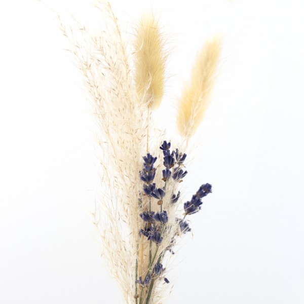 Trockenblumen Strauß klein mit Lavender